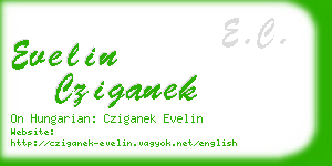 evelin cziganek business card